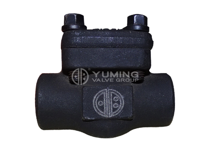 Forged steel check valve