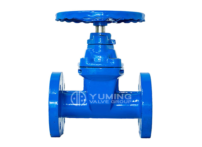 DIN 3352 F5 Resilient Seated Flanged Gate Valve