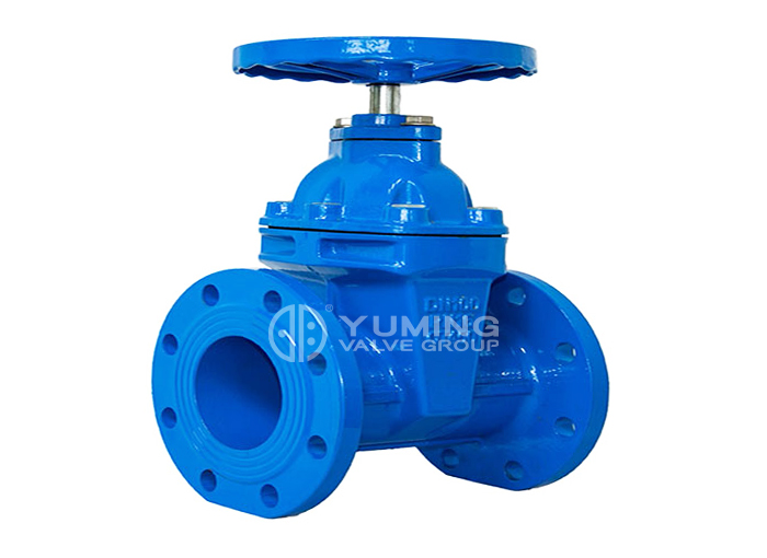 DIN 3352 F5 Resilient Seated Flanged Gate Valve