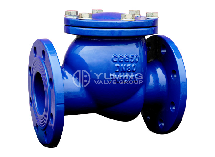 DIN swing cast iron Check Valve for water