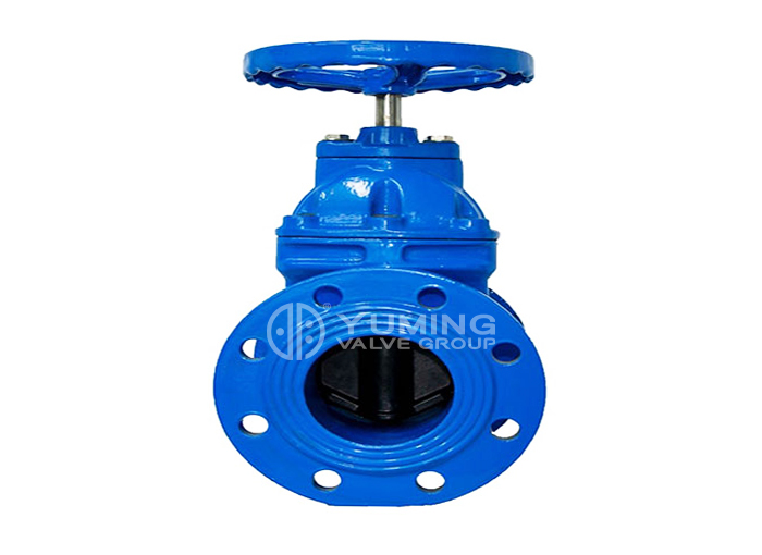 DIN 3352 F5 Resilient Seated Flanged Gate Valve